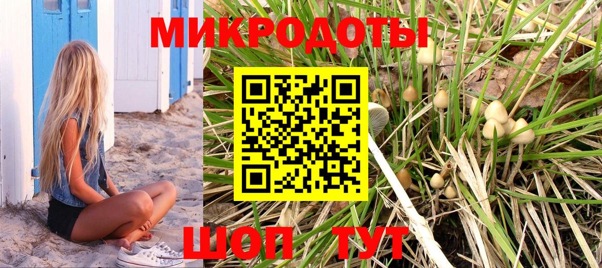 Псилоцибиновые грибы Cubensis Калач-на-Дону